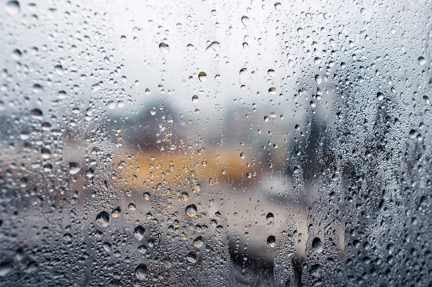 Positionality (Foregrounding of)